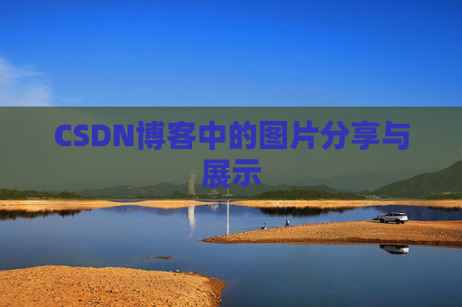 CSDN博客中的图片分享与展示